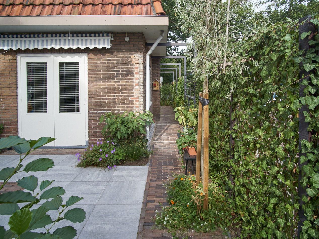 Entree van een bakstenen woning met haag aan de Soesterweg